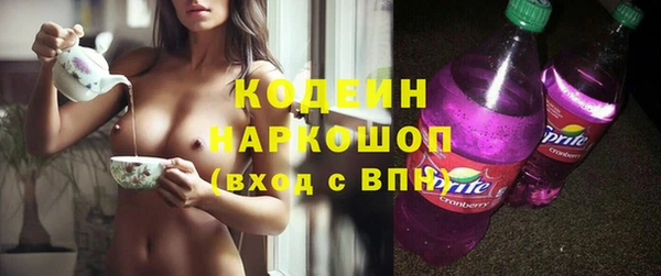 индика Абаза
