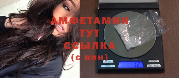 индика Абаза
