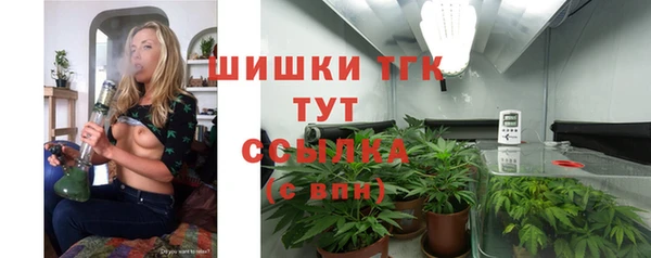 Альфа ПВП Ельня