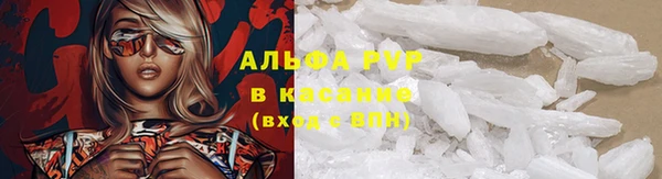 индика Абаза