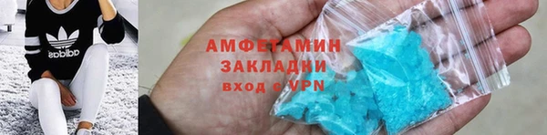 индика Абаза
