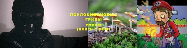 индика Абаза