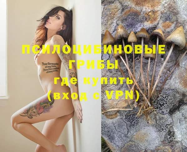 индика Абаза