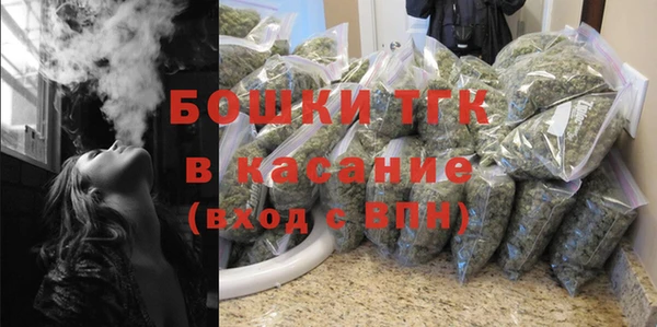 индика Абаза