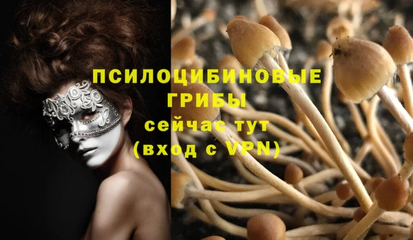 индика Абаза